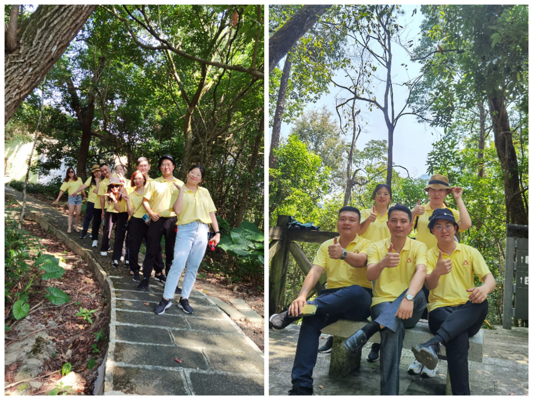 少妇人妻无码AV片在线蜜芽